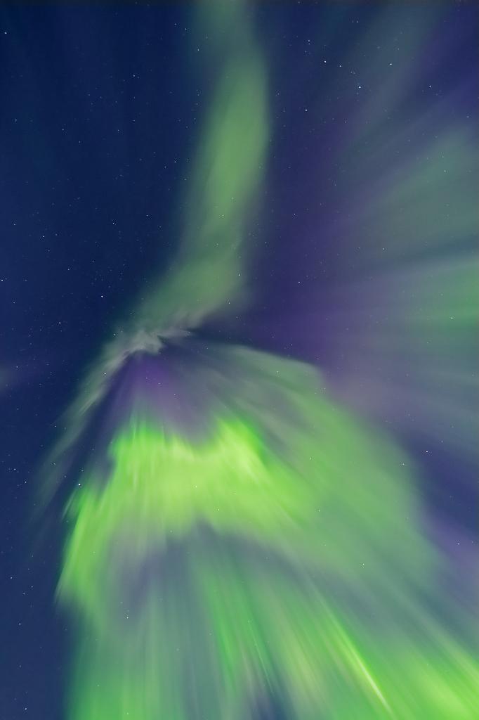 D700_12411JMcf.jpg - Grüne Polarlichtcorona im Zenit.