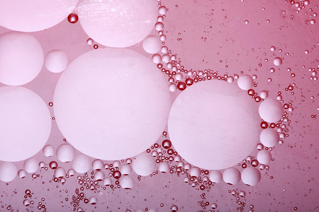 D40_21759b.jpg