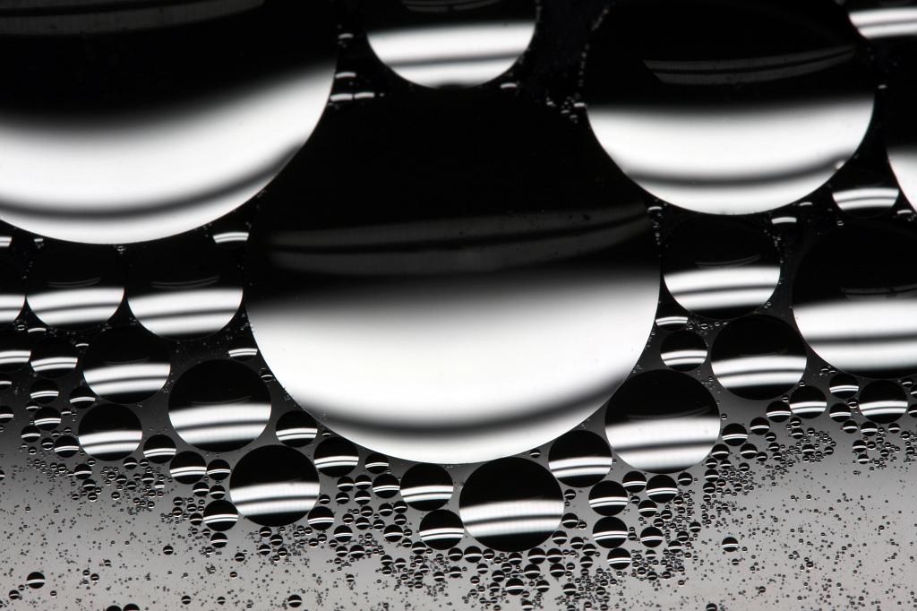 D40_22047b.jpg
