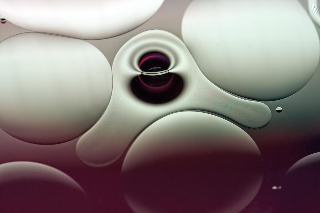 D40_22879bf.jpg