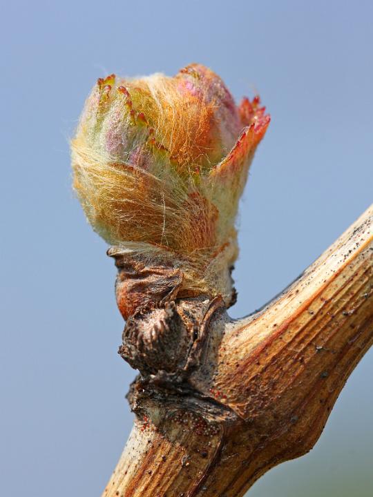 D40_12349bf.jpg