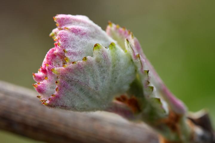 D40_12547bf.jpg