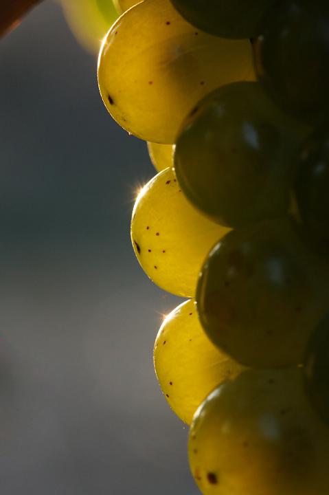 D40_18396bf.jpg