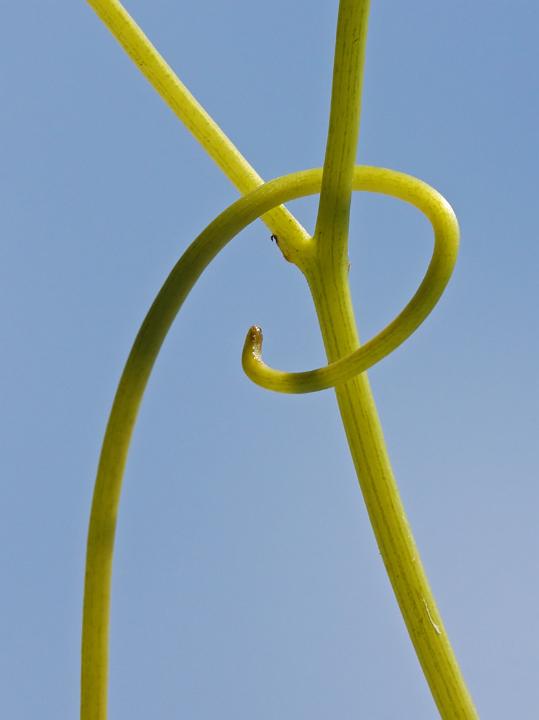 D40_18612bf.jpg