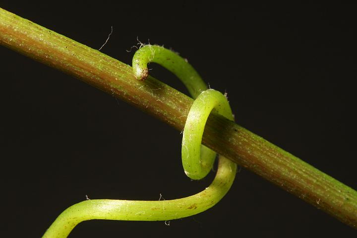 D40_19749b.jpg