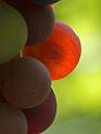 D40_18527bf
