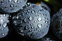 D40_19580bf