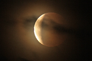 D40_29256bf