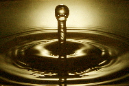 Wassertropfen / drops of water
