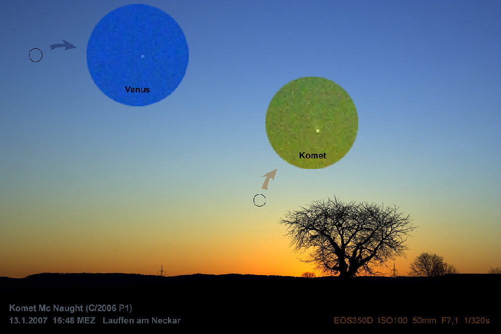 McNaught IMG_3051cklein