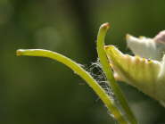 IMG_1002f