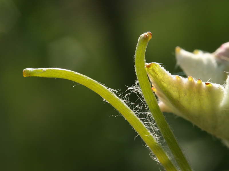 IMG_1002f