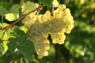 IMG_4595b
