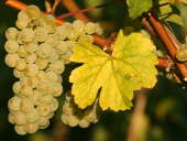 IMG_5093b