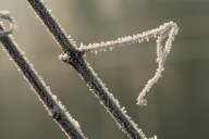 IMG_8729b