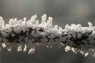 IMG_8757b