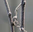 IMG_8791b