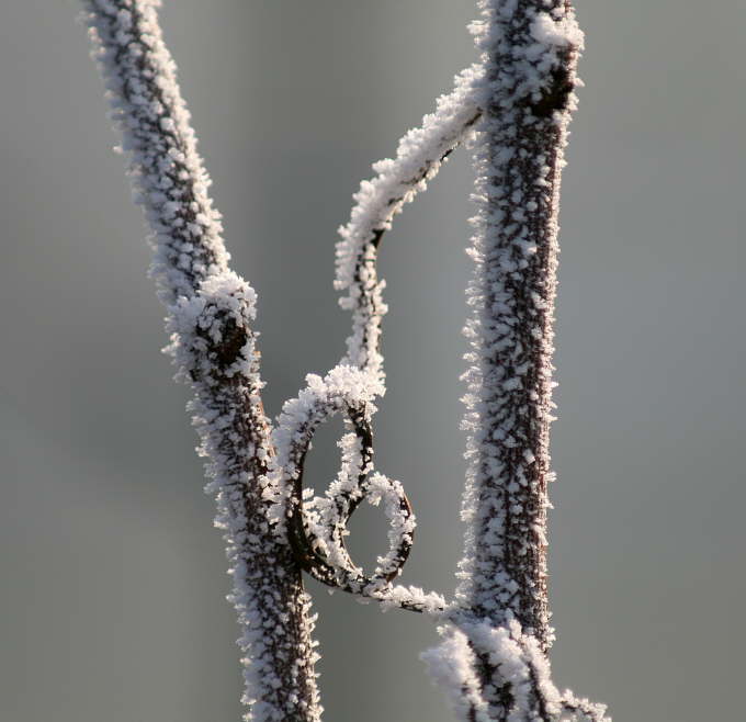 IMG_8791b