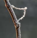 IMG_8805b