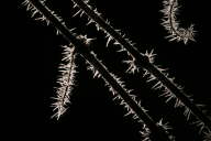 IMG_8826b