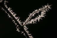 IMG_8830b